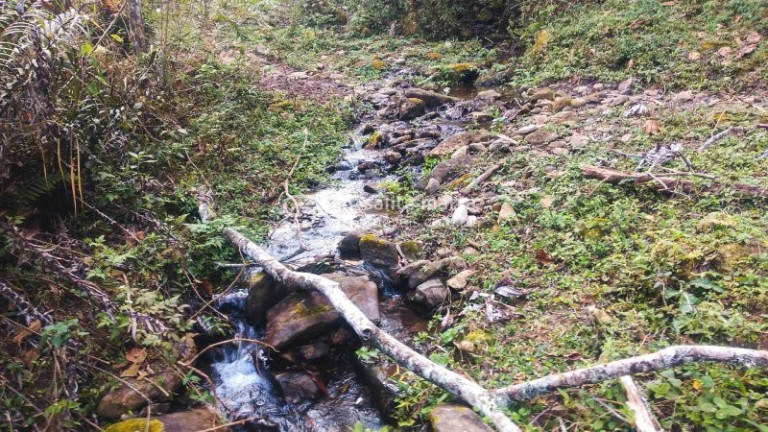 Imagem Imóvel à Venda, 1 m² em Bairro Da Tabuleta - Piquete Imagem Imóvel à Venda, 1 m² em Bairro Da Tabuleta - Piquete