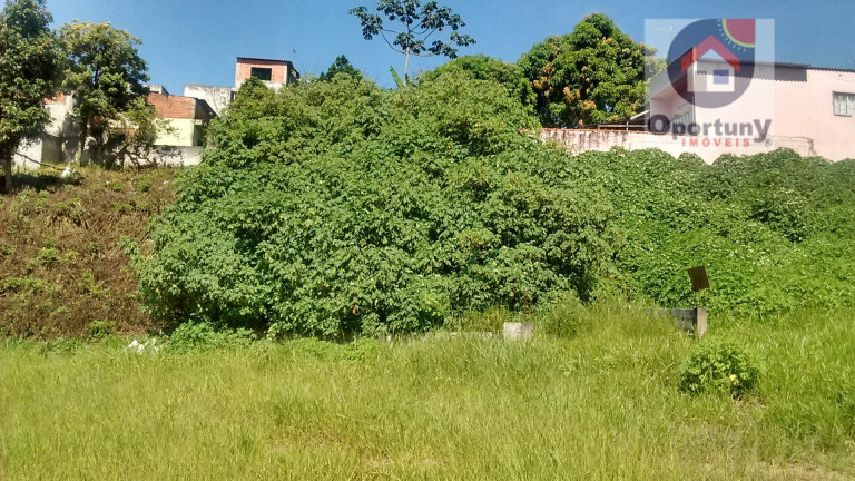 Imagem Terreno à Venda, 367 m² em Jardim Fortaleza - Guarulhos