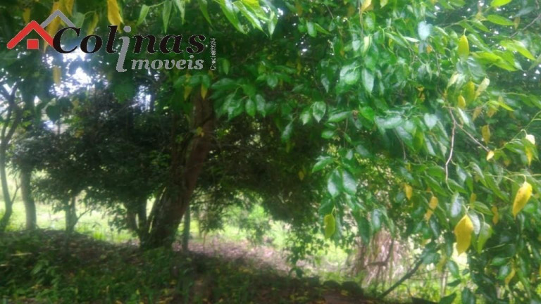 Imagem Imóvel com 3 Quartos à Venda, em Depois Do Centro - Ibiúna Imagem Imóvel com 3 Quartos à Venda, em Depois Do Centro - Ibiúna
