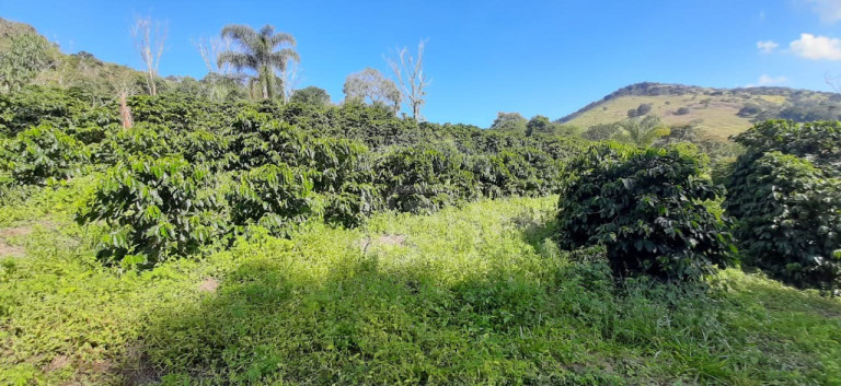 Imagem Imóvel à Venda, 3 m² em Milho Verde - Bandeira Do Sul Imagem Imóvel à Venda, 3 m² em Milho Verde - Bandeira Do Sul