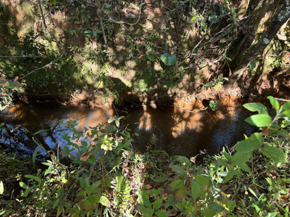 Imagem Terreno à Venda, 5.000 m² em Rio São João - Itatiaiuçu Imagem Terreno à Venda, 5.000 m² em Rio São João - Itatiaiuçu