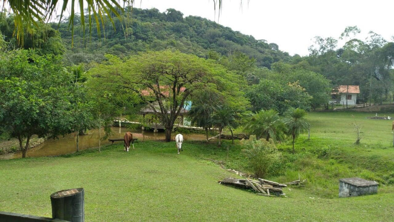 Imagem Chácara com 10 Quartos à Venda, 33.500 m² em Maraporã - Cachoeiras De Macacu Imagem Chácara com 10 Quartos à Venda, 33.500 m² em Maraporã - Cachoeiras De Macacu