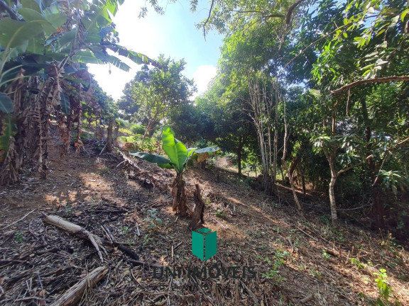 Imagem Imóvel com 3 Quartos à Venda, 2.200 m² em Tartaruga - Guarapari