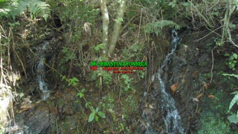 Imagem Chácara à Venda, 72.600 m² em São Francisco Xavier - São José Dos Campos Imagem Chácara à Venda, 72.600 m² em São Francisco Xavier - São José Dos Campos