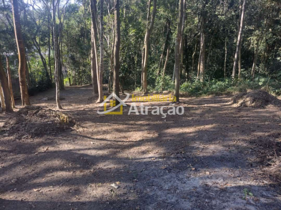 Imagem Imóvel com 2 Quartos à Venda, 3.800 m² em Aruã - Mogi Das Cruzes Imagem Imóvel com 2 Quartos à Venda, 3.800 m² em Aruã - Mogi Das Cruzes