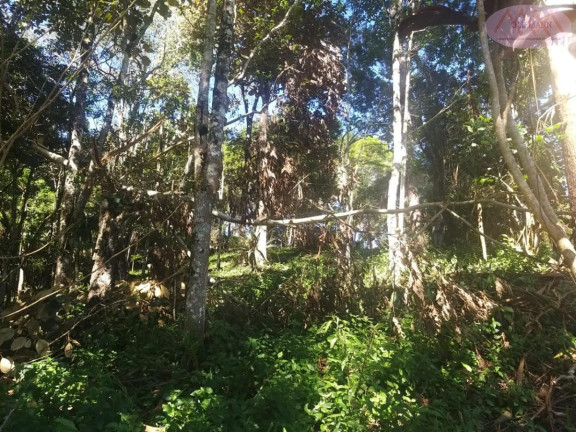 Imagem Imóvel com 4 Quartos à Venda, 87 m² em Ritas - Juquitiba