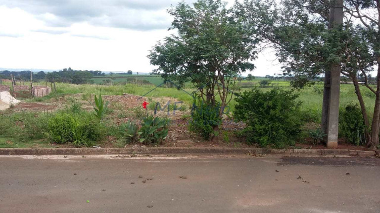 Imagem Terreno à Venda, 250 m² em Jardim Milenium - Pirassununga Imagem Terreno à Venda, 250 m² em Jardim Milenium - Pirassununga