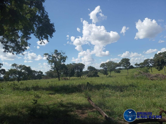 Imagem Fazenda à Venda, 195 m² em Zona Rural - Ribeirão Cascalheira Imagem Fazenda à Venda, 195 m² em Zona Rural - Ribeirão Cascalheira