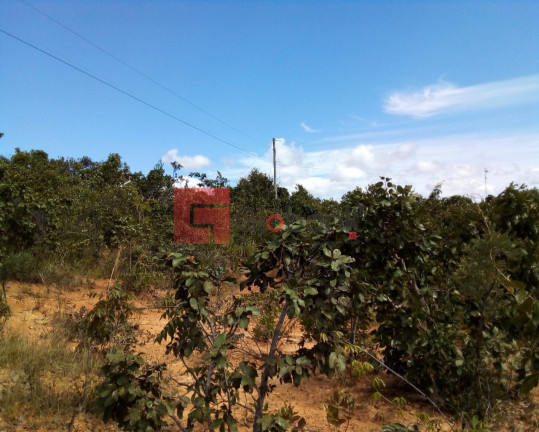 Imagem Imóvel à Venda, 3.500 m² em Centro - Montes Claros Imagem Imóvel à Venda, 3.500 m² em Centro - Montes Claros