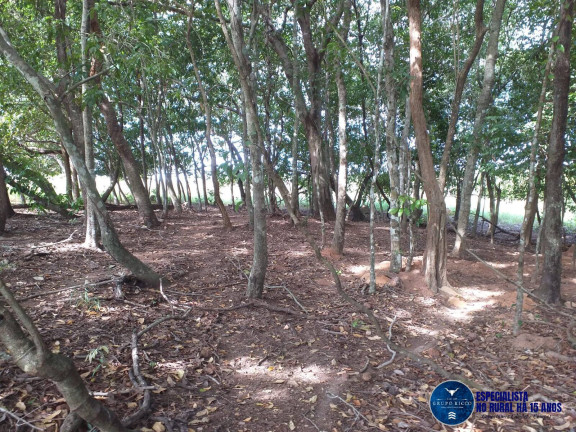 Imagem Fazenda à Venda, 46 m² em Zona Rural - Matrinchã Imagem Fazenda à Venda, 46 m² em Zona Rural - Matrinchã
