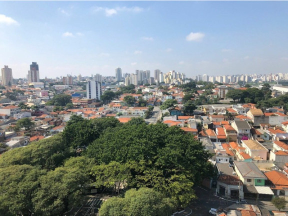 Imagem Apartamento com 2 Quartos à Venda, 50 m² em Quinta Da Paineira - São Paulo