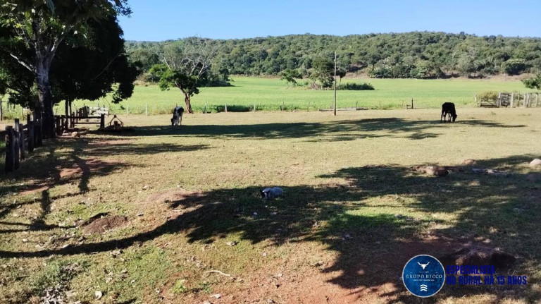 Imagem Fazenda à Venda, 92 m² em Zona Rural - Jaupaci Imagem Fazenda à Venda, 92 m² em Zona Rural - Jaupaci