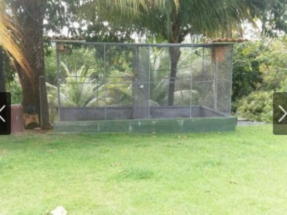 Imagem Chácara com 3 Quartos à Venda, 5.000 m² em Quingoma - Lauro De Freitas Imagem Chácara com 3 Quartos à Venda, 5.000 m² em Quingoma - Lauro De Freitas