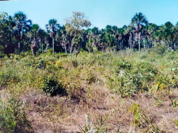 Imagem Fazenda à Venda, 777 m² em Rural - Lizarda Imagem Fazenda à Venda, 777 m² em Rural - Lizarda