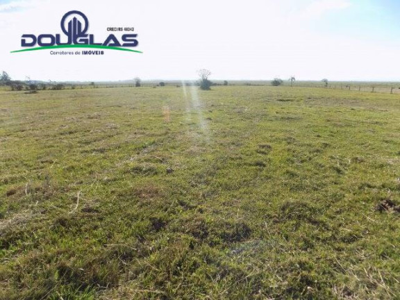 Imagem Chácara à Venda, 8 m² em águas Claras - Viamão