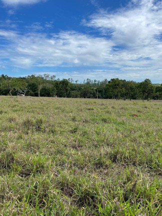 Imagem Chácara à Venda, 9.000 m² em Parque Las Vegas - Bela Vista De Goiás Imagem Chácara à Venda, 9.000 m² em Parque Las Vegas - Bela Vista De Goiás