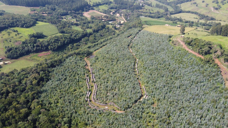 Imagem Terreno à Venda, 170.000 m² em Interior - Jaborá Imagem Terreno à Venda, 170.000 m² em Interior - Jaborá