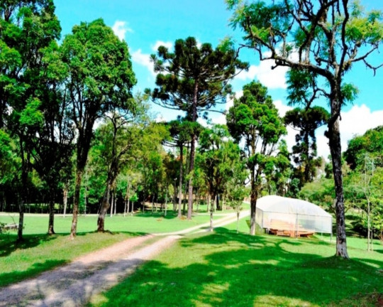 Imagem Imóvel à Venda, 18.380 m² em Logradouro - Nova Petrópolis Imagem Imóvel à Venda, 18.380 m² em Logradouro - Nova Petrópolis
