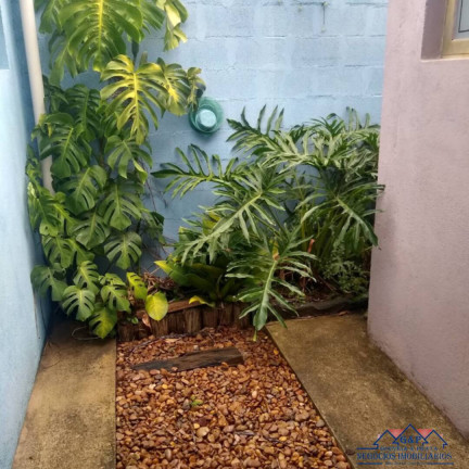 Imagem Chácara com 3 Quartos à Venda, 3.000 m² em Ibiúna