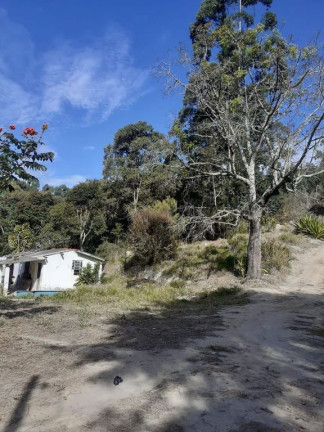 Imagem Chácara com 3 Quartos à Venda, 121.000 m² em Damião - Paraibuna
