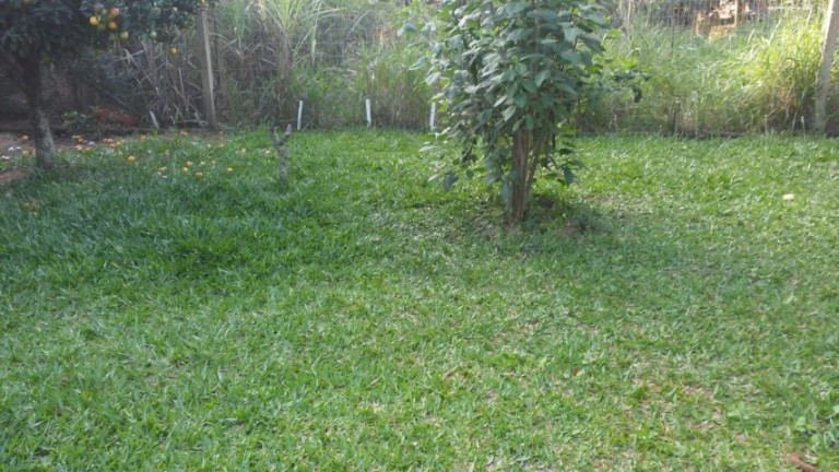 Imagem Casa com 2 Quartos à Venda, 600 m² em águas Claras - Viamão