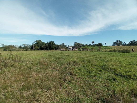 Chácara com 2 Quartos à Venda, 20.000 m² em águas Claras - Viamão