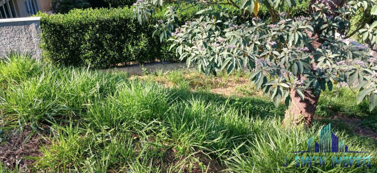Imagem Terreno em Condomínio para Alugar, 582 m² em Granja Viana - Cotia Imagem Terreno em Condomínio para Alugar, 582 m² em Granja Viana - Cotia