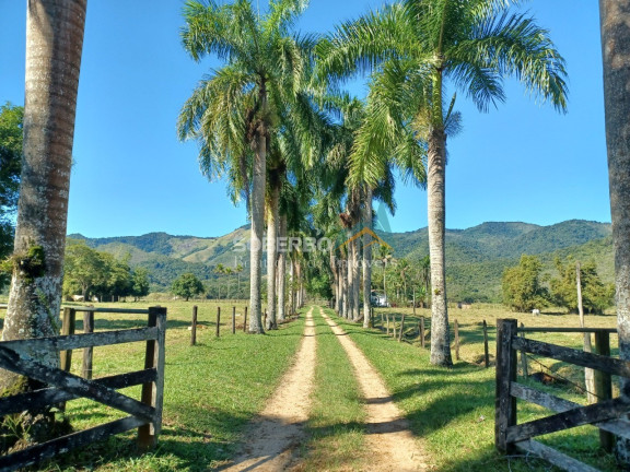 Imagem Imóvel com 8 Quartos à Venda, 6.000.000 m² em Gaviões - Silva Jardim Imagem Imóvel com 8 Quartos à Venda, 6.000.000 m² em Gaviões - Silva Jardim