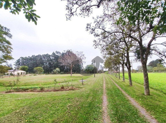 Imagem Chácara com 3 Quartos à Venda, 135 m² em Interior - Santa Cruz Do Sul Imagem Chácara com 3 Quartos à Venda, 135 m² em Interior - Santa Cruz Do Sul