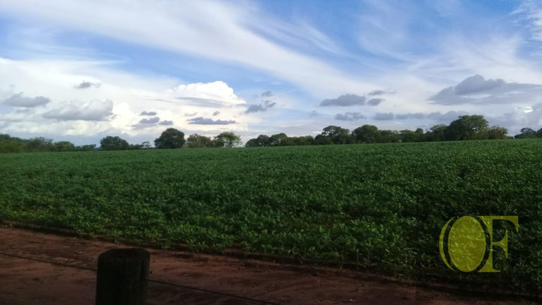 Imagem Fazenda à Venda, 75 m² em Rural - Paranapanema Imagem Fazenda à Venda, 75 m² em Rural - Paranapanema