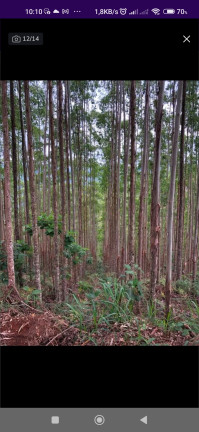 Imagem Chácara com 1 Quarto à Venda, 202.554 m² em Roncador - São José Dos Campos