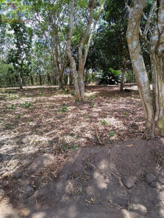 Imagem Terreno à Venda, 50.000 m² em Aldeia - Camaragibe Imagem Terreno à Venda, 50.000 m² em Aldeia - Camaragibe