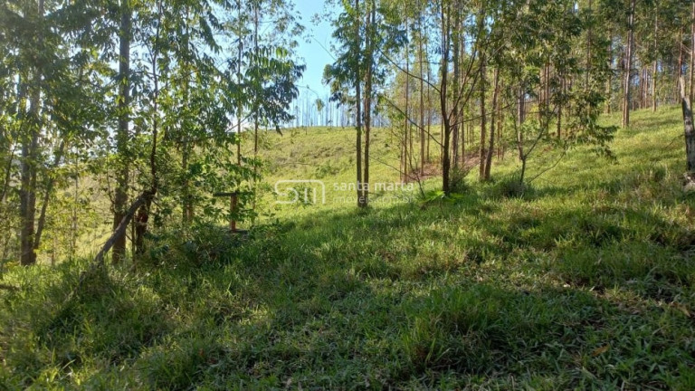 Imagem Imóvel com 2 Quartos à Venda, 280 m² em Branco - Lavrinhas Imagem Imóvel com 2 Quartos à Venda, 280 m² em Branco - Lavrinhas
