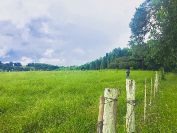 Imagem Chácara à Venda, 9 m² em Area Rural De Avaré - Avaré Imagem Chácara à Venda, 9 m² em Area Rural De Avaré - Avaré