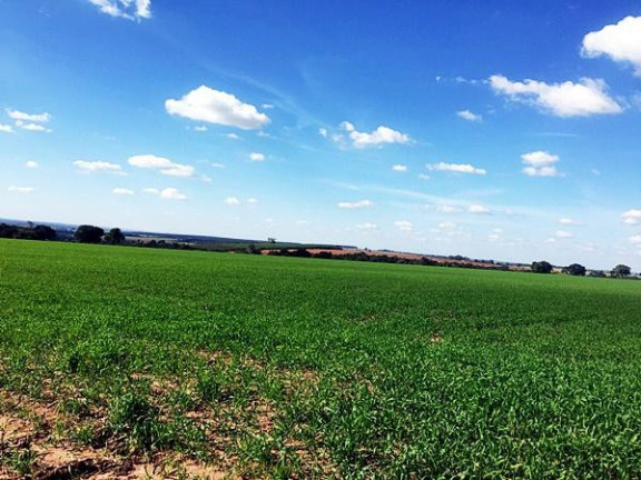 Imagem Fazenda à Venda, 105 m² em Rural - Avaré