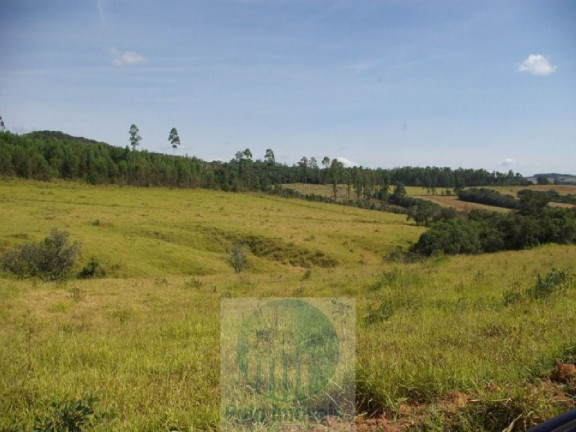 Imagem Imóvel com 3 Quartos à Venda, 302.500 m² em Zona Rural - Jacui