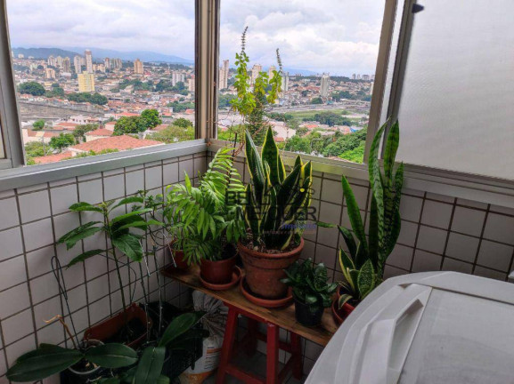 Imagem Apartamento com 2 Quartos à Venda, 59 m² em Vila Jaguara - São Paulo Imagem Apartamento com 2 Quartos à Venda, 59 m² em Vila Jaguara - São Paulo
