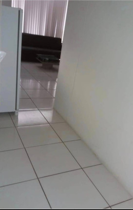 Imagem Apartamento com 6 Quartos à Venda, 295 m² em Ipiranga - São José Imagem Apartamento com 6 Quartos à Venda, 295 m² em Ipiranga - São José