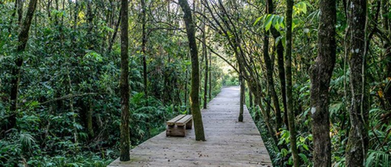 Terreno à Venda,  em águas De Santa Barbara - Santa Barbara D`oeste