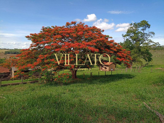 Imagem Fazenda à Venda, 37 m² em Caxambu - Pirenópolis Imagem Fazenda à Venda, 37 m² em Caxambu - Pirenópolis