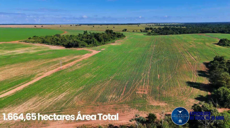 Imagem Fazenda à Venda, 343 m² em Zona Rural - Montes Claros De Goiás Imagem Fazenda à Venda, 343 m² em Zona Rural - Montes Claros De Goiás