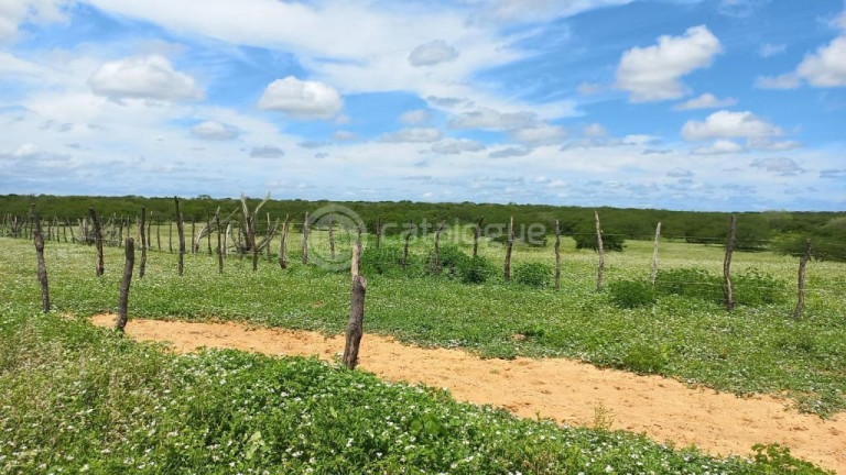 Imagem Fazenda à Venda, 3.000.000 m² em Rural - Jandaíra Imagem Fazenda à Venda, 3.000.000 m² em Rural - Jandaíra