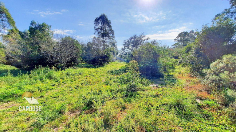 Imagem Fazenda à Venda, 100.000 m² em águas Claras - Viamão Imagem Fazenda à Venda, 100.000 m² em águas Claras - Viamão