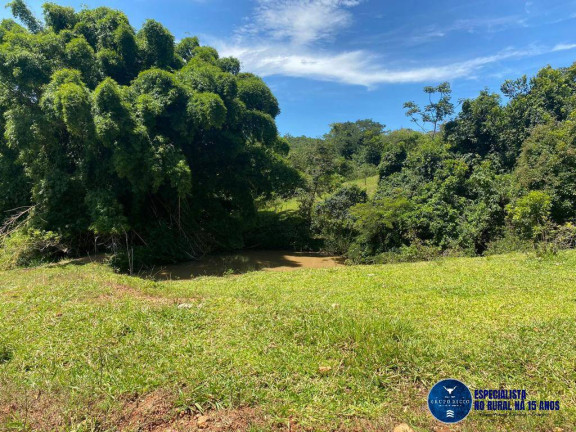 Imagem Chácara à Venda, 10 m² em Zona Rural - Pontalina Imagem Chácara à Venda, 10 m² em Zona Rural - Pontalina
