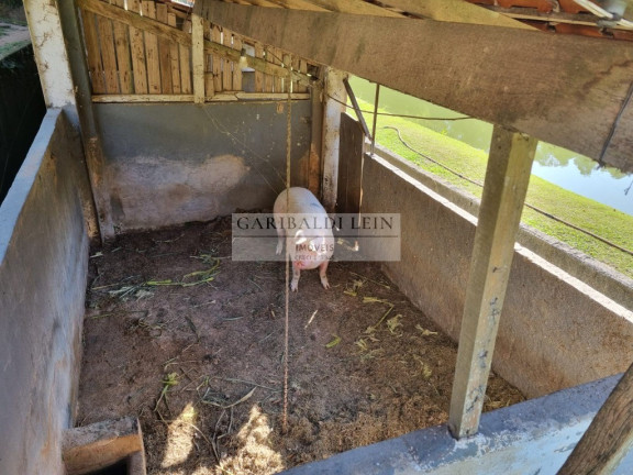 Imagem Imóvel com 4 Quartos à Venda, 200 m² em Bairro Dos Pedrosos - Amparo Imagem Imóvel com 4 Quartos à Venda, 200 m² em Bairro Dos Pedrosos - Amparo