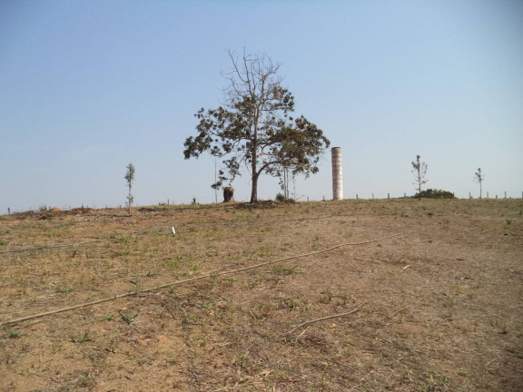 Imagem Chácara com 4 Quartos à Venda, 63.000 m² em Douradinho - Piedade Imagem Chácara com 4 Quartos à Venda, 63.000 m² em Douradinho - Piedade