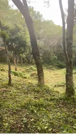 Imagem Terreno à Venda, 2 m² em Jordão (dona Lucinda) - Governador Celso Ramos Imagem Terreno à Venda, 2 m² em Jordão (dona Lucinda) - Governador Celso Ramos