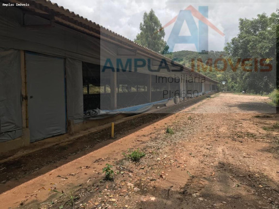 Imagem Fazenda à Venda, 60 m² em Azurita - Mateus Leme