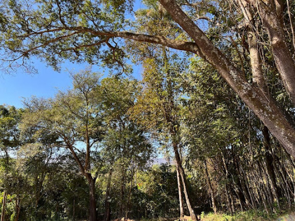 Imagem Imóvel Comercial à Venda, 3.600 m² em Marques - Brumadinho Imagem Imóvel Comercial à Venda, 3.600 m² em Marques - Brumadinho