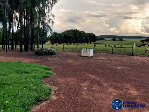 Imagem Fazenda à Venda, 343 m² em Zona Rural - Montes Claros De Goiás Imagem Fazenda à Venda, 343 m² em Zona Rural - Montes Claros De Goiás